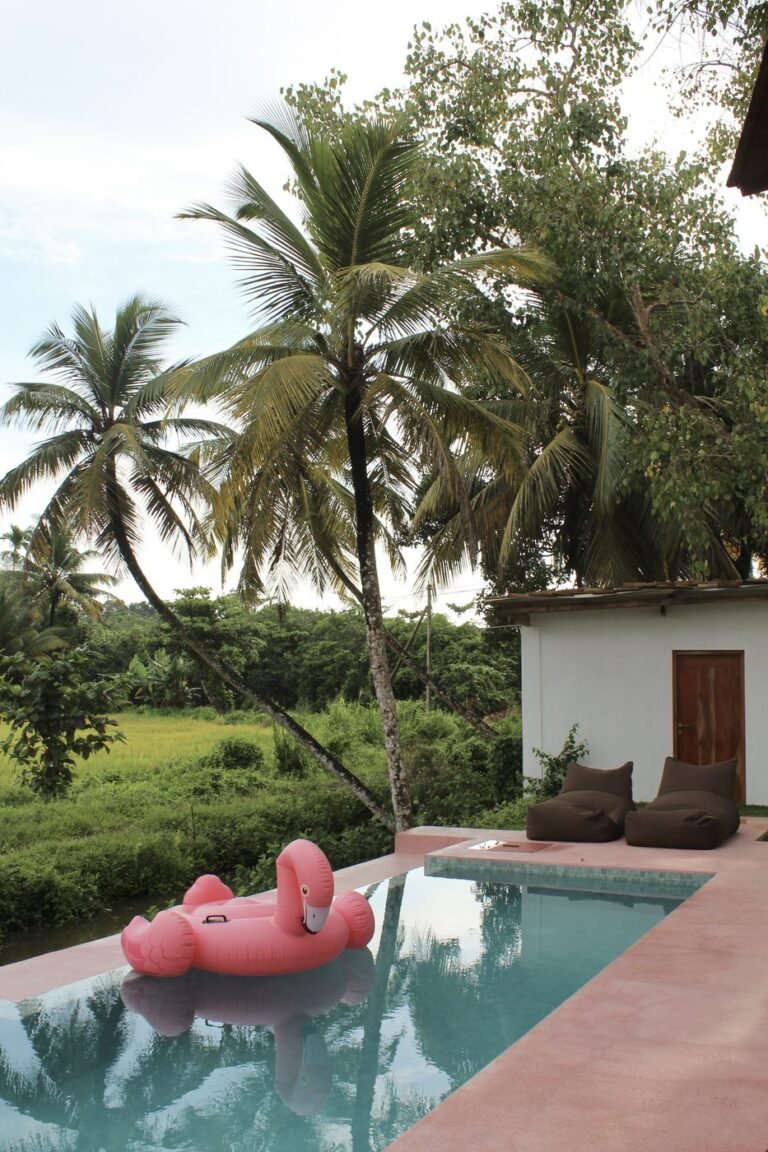 Pool framed by coconut palms