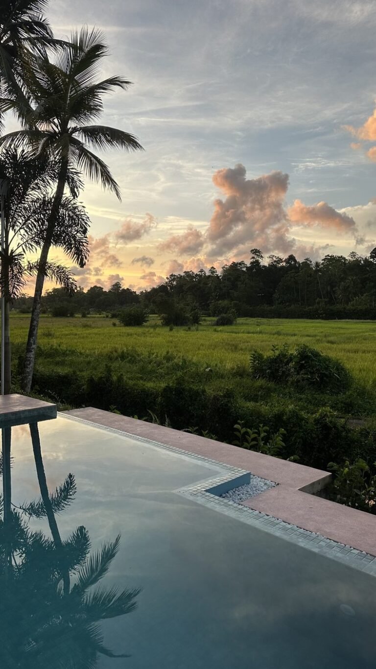 Pool at sunset overlooking the rice fields