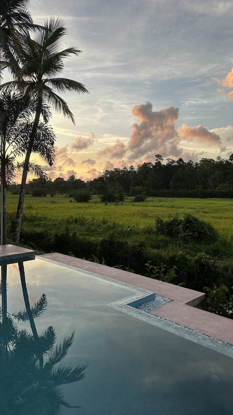 The pool at sunset, looking over the rice fields