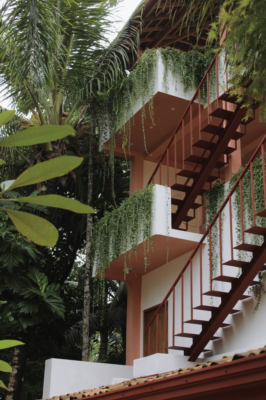 Outdoor staircase wrapped in tropical greenery
